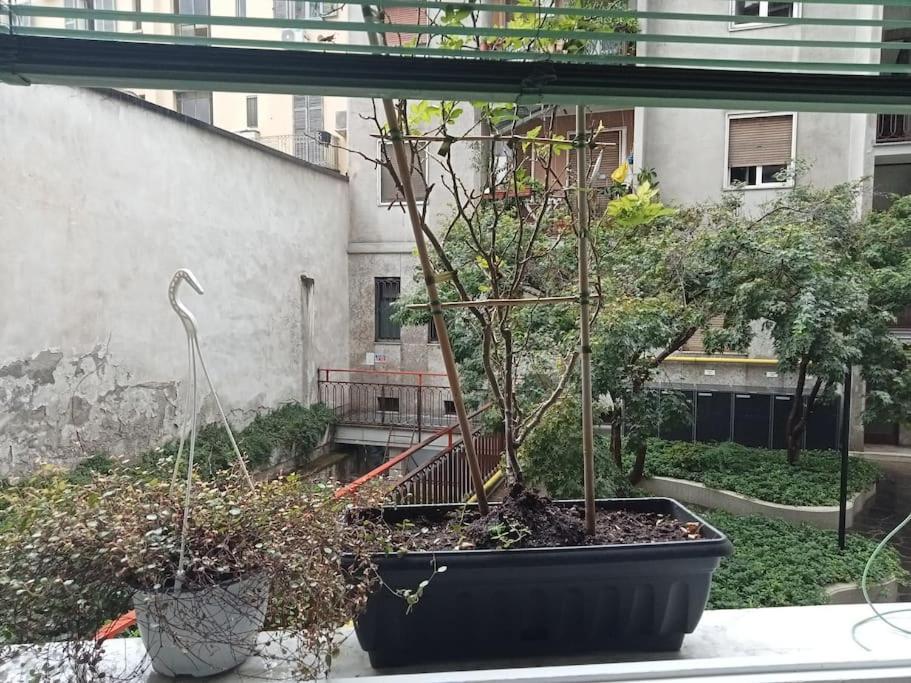 Il Grande Blu Lejlighed Milano Eksteriør billede